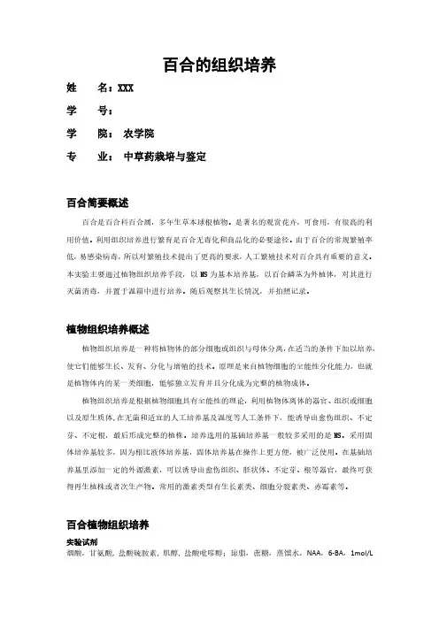 药用植物组织培养-百合组培实验报告