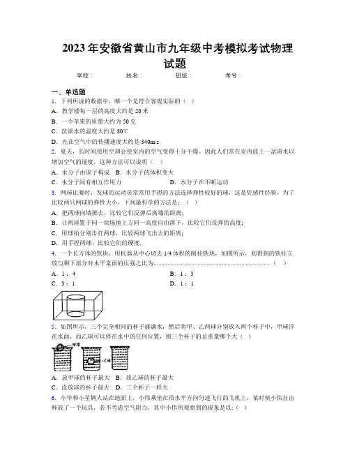最新2023年安徽省黄山市九年级中考模拟考试物理试题及解析