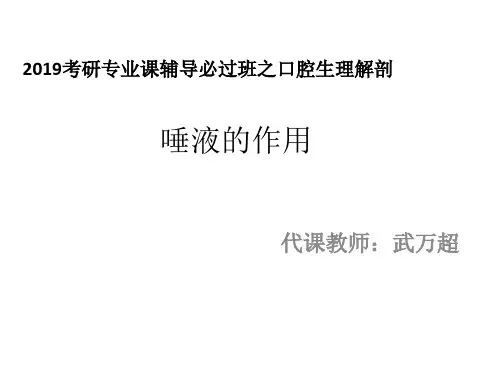 唾液的功能
