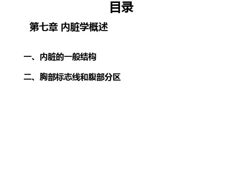 内脏学概述-ppt人体解剖学PPT课件