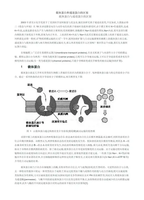 载体蛋白和通道蛋白的区别
