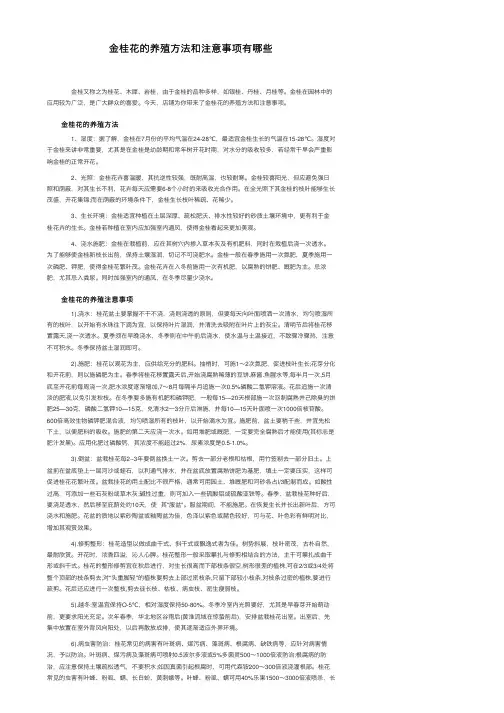 金桂花的养殖方法和注意事项有哪些
