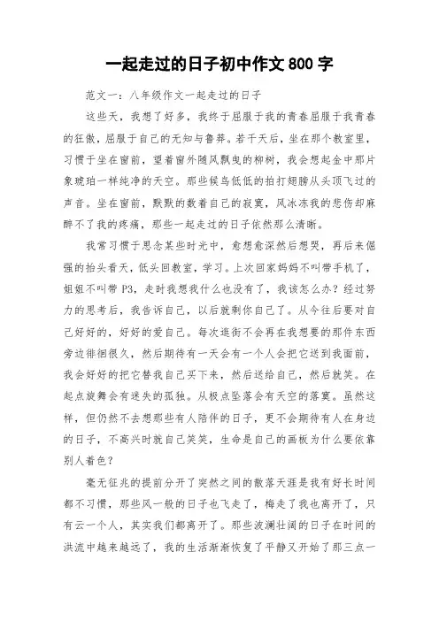 一起走过的日子初中作文800字_作文