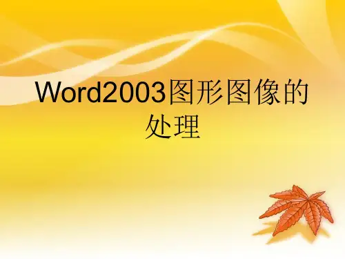 (文科)word2003图形处理