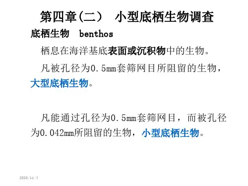 第四章(二) 小型底栖生物调查(海洋生物资源调查技术)