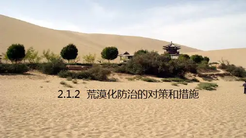 人教版高中地理优质课件2：2.1.2荒漠化防治的对策和措施