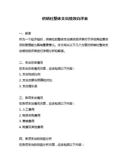供销社整体支出绩效自评表