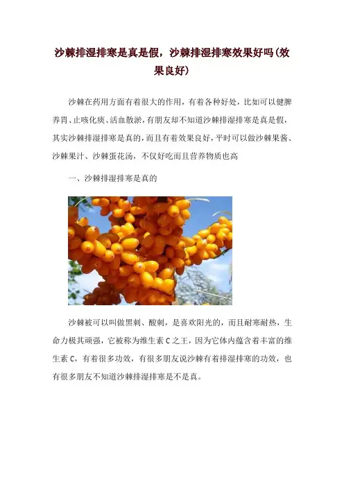 沙棘排湿排寒是真是假,沙棘排湿排寒效果好吗(效果良好)