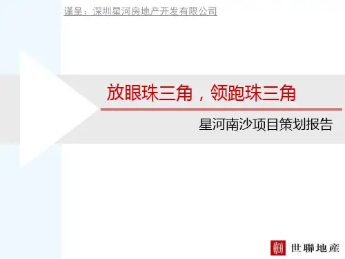 世联_星河地产_广州南沙地块项目策划报告_100PPT