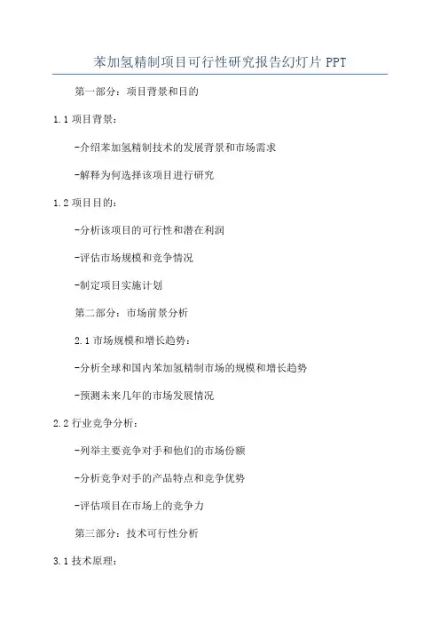 苯加氢精制项目可行性研究报告幻灯片PPT