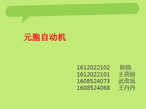 元胞自动机模型