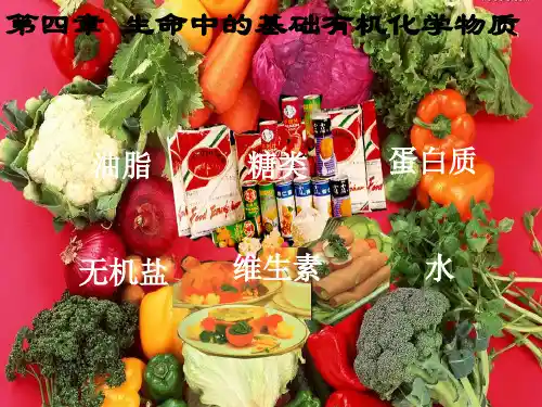 高中化学第四章生命中的基础有机化学物质4.1.2油脂课件新人教选修5.ppt
