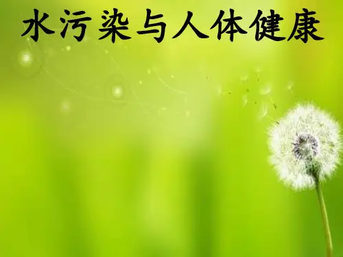 水污染与人体健康 .ppt