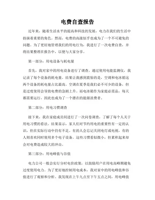 电费自查报告