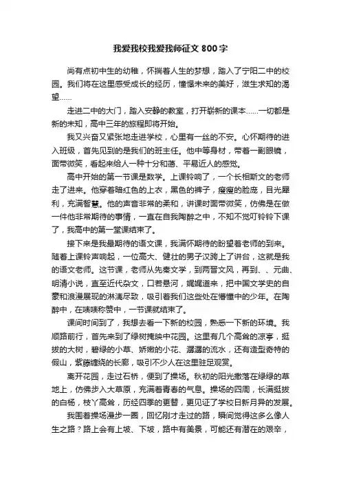 我爱我校我爱我师征文800字