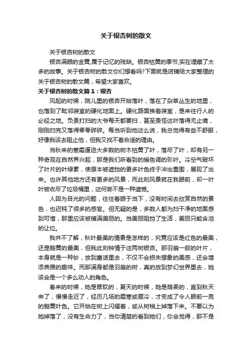 关于银杏树的散文
