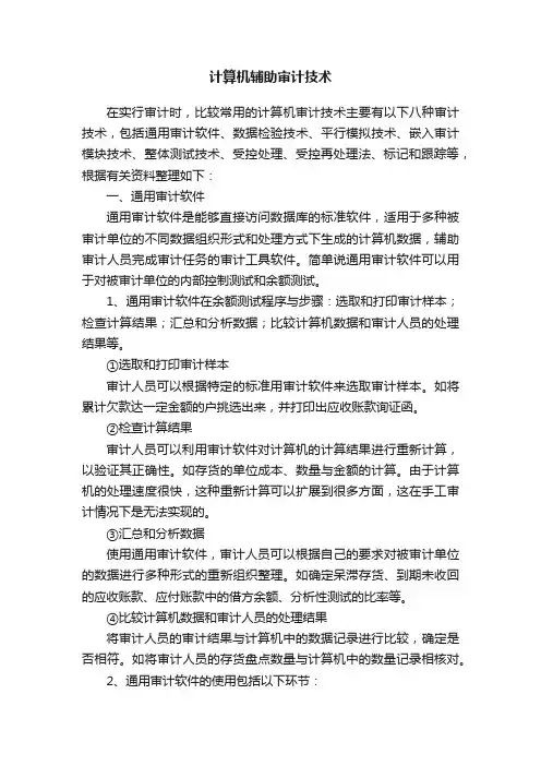 计算机辅助审计技术