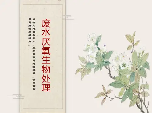 废水厌氧生物处理原理与工艺