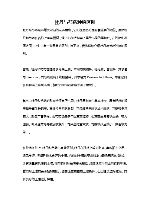 牡丹与芍药种植区别