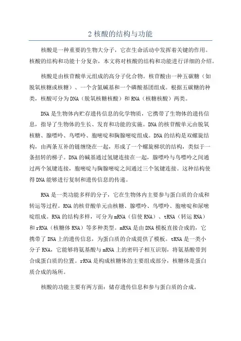 2核酸的结构与功能