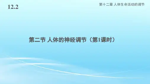 苏教版七年级生物下册12.2《人体的神经调节》课件