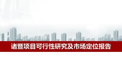 诸暨项目可行性分析及初步产品建议(2)