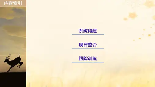 高中生物第6章生态环境的保护章末总结课件新人教版必修