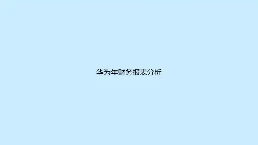 华为年财务报表分析