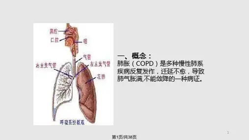 肺胀中医护理查房课件