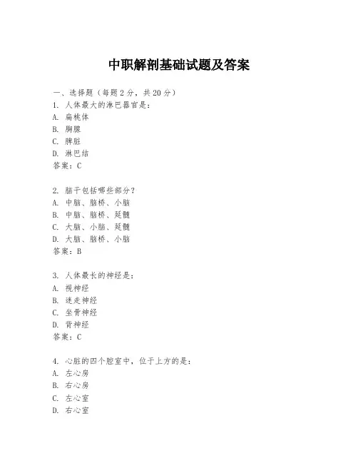 中职解剖基础试题及答案