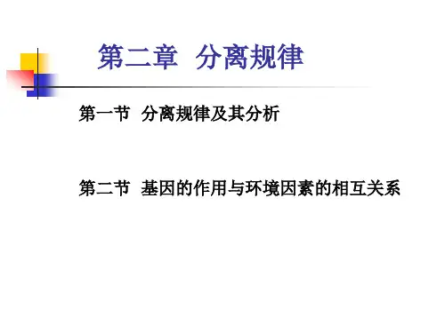 分离规律PPT课件