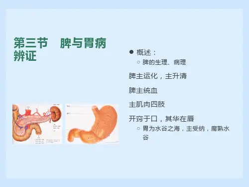 中医诊断学第五章脏腑辨证(三脾与胃)