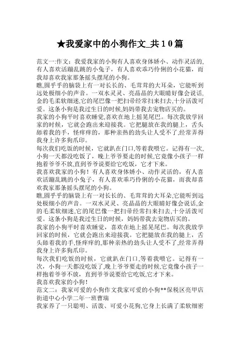 我爱家中的小狗作文共10篇