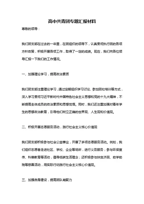 高中共青团专题汇报材料