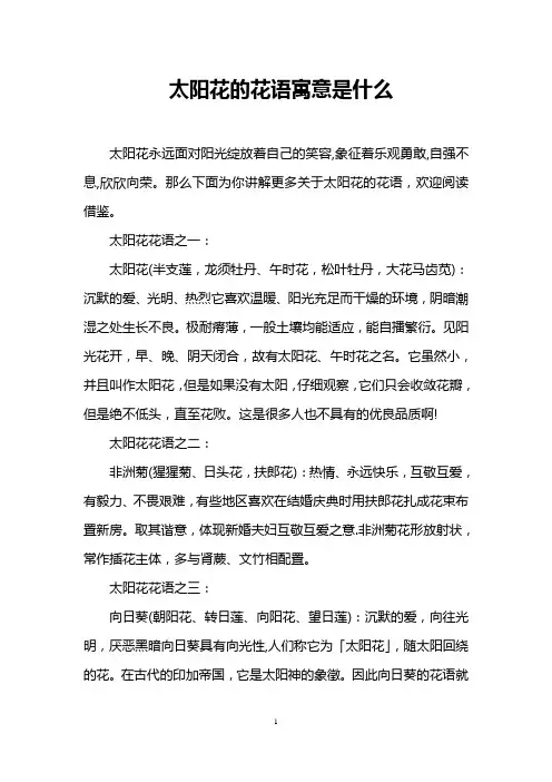 太阳花的花语寓意是什么
