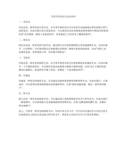 写景手法知识点总结初中