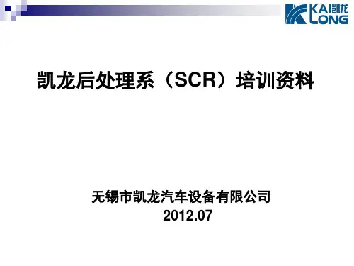 SCR培训演讲
