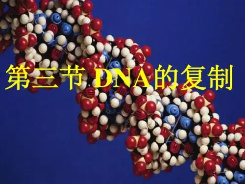 必修二生物第三章第三节 DNA的复制