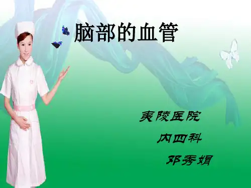 脑部的血管