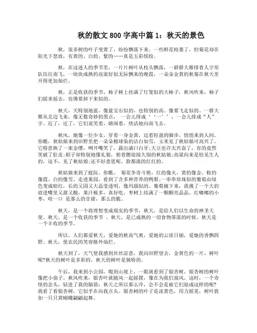 秋的散文800字高中