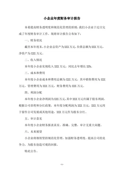 小企业年度财务审计报告