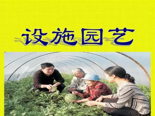 绪论