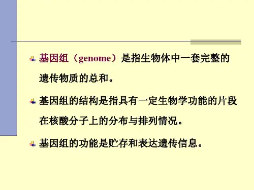 (完整版)基因组的结构和功能