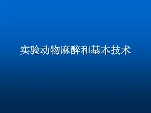 麻醉学实验动物麻醉和基本技术PPT课件