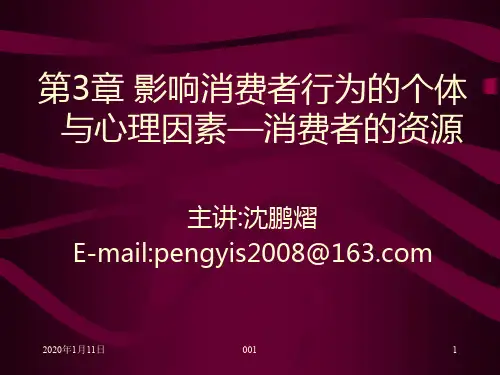 第章影响消费者行为的个体与心理因素——消费者资源PPT课件