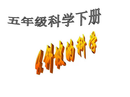 (五下)科学PPT课件 斜坡的学问 冀教版 (28张)