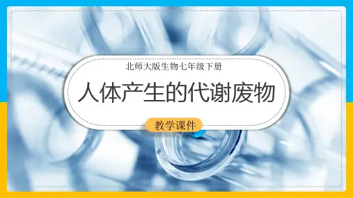 初中生物北师大版七年级下册《第11章第1节人体产生的代谢废物》课件