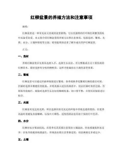 红柳盆景的养殖方法和注意事项