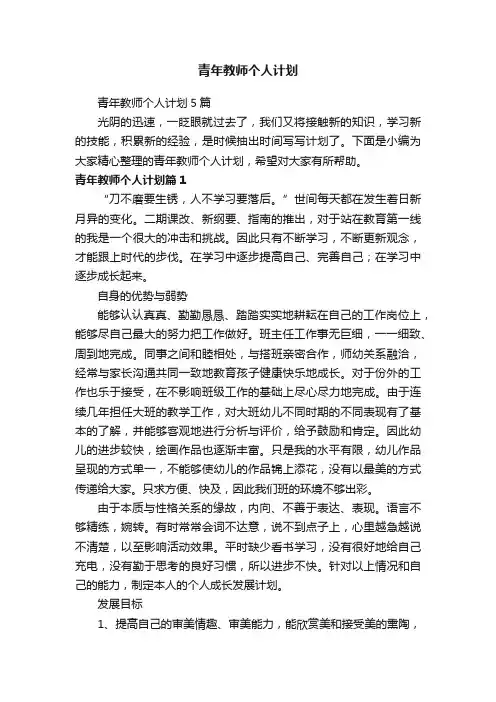 青年教师个人计划5篇