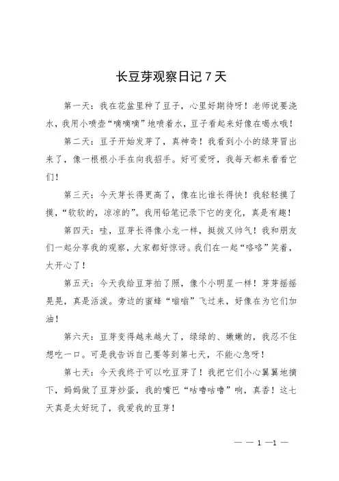长豆芽观察日记7天